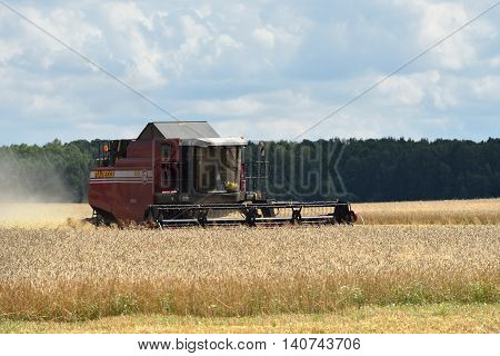 Harvesting Of Wheat. Russia