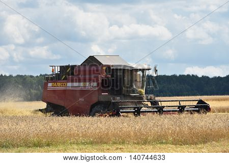 Harvesting Of Wheat. Russia