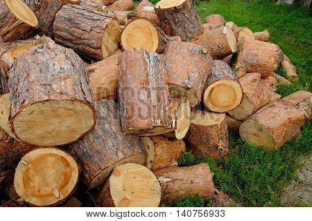 Pile of pine chocks on the ground grass