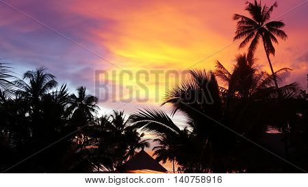 Romantic sunset in Thailand against palm trees
