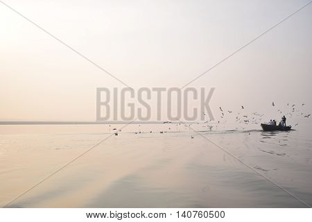 Birds and fishermen on river Ganges, Varanasi, Uttar Pradesh, India
