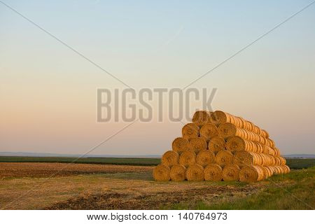 Bales of Hay Rolled Into Stacks. Rolls of Wheat in the Grass. Bales of straw. Selective Focus.