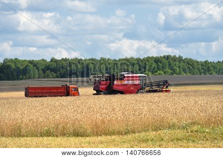 NARO-FOMINSK RUSSIA - JUL 31 2016: Harvesting of wheat. Combine Harvester in agricultural fields. Russia ranks first in the export of wheat in the world is continuously increasing grain production