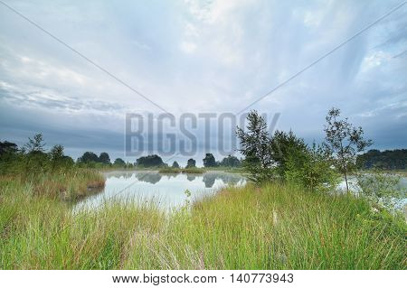 morning on little wild lake in summer