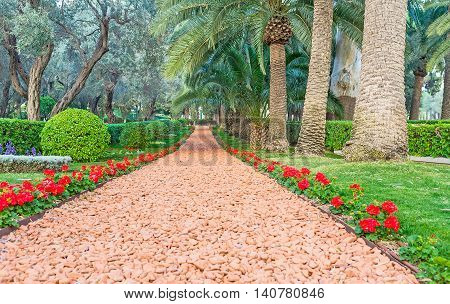The footpath is bordered with red begonia flowers Bahai Gardens Haifa Israel.