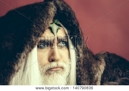 Zeus god or jupiter with vine crown. Mythology ancient Greece