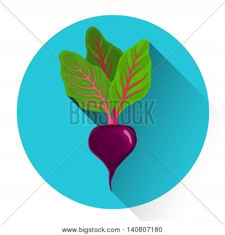 Beet Colorful Vegetable Icon Flat Vector Illustration