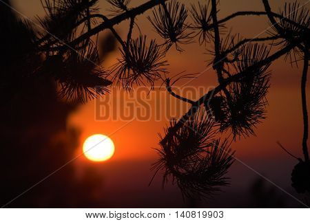 Orange Sunrise In Austria Mountains In Summer Time