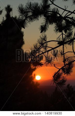 Orange Sunrise In Austria Mountains In Summer Time