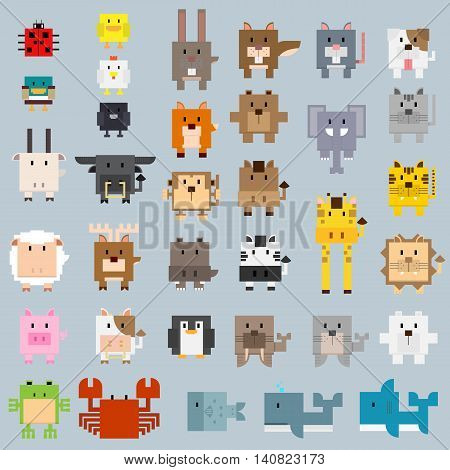 many types of animal in basic rectangle shape cartoon.