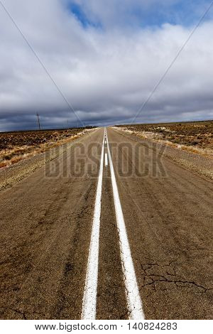 Grass On The Side Road - Fraserburg Landscape