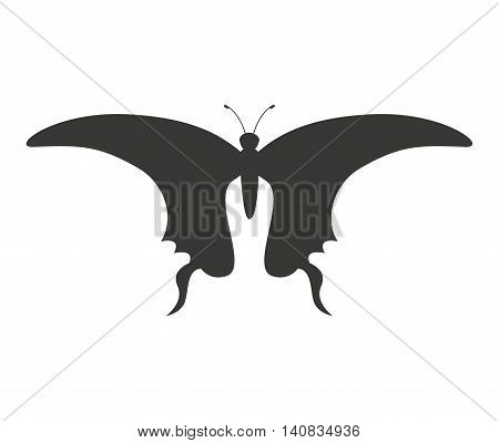 beautiful butterfly silhoeutte icon vector isolated graphic