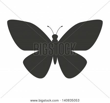 beautiful butterfly silhoeutte icon vector isolated graphic