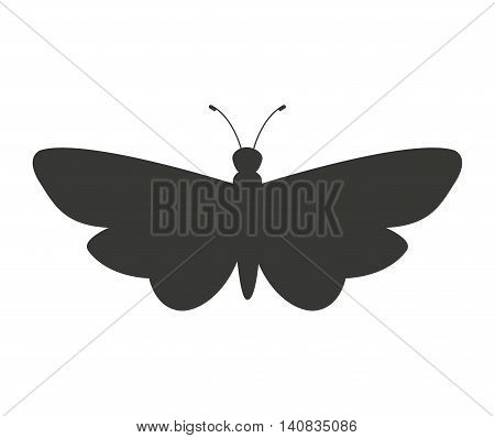 beautiful butterfly silhoeutte icon vector isolated graphic