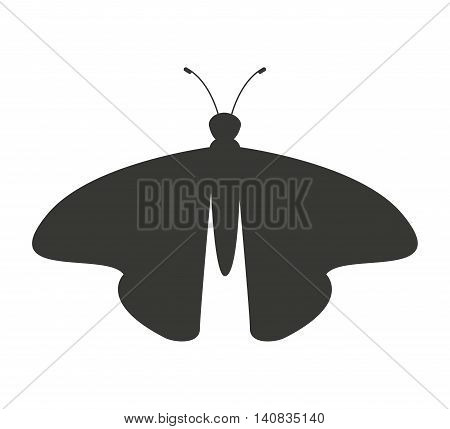beautiful butterfly silhoeutte icon vector isolated graphic