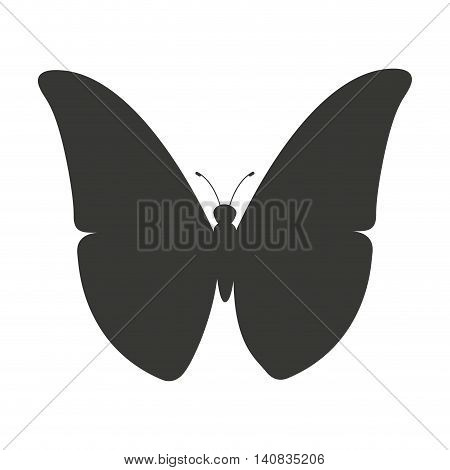 beautiful butterfly silhoeutte icon vector isolated graphic