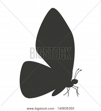 beautiful butterfly silhoeutte icon vector isolated graphic