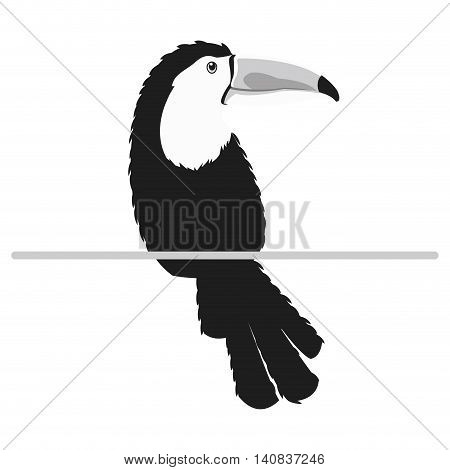 flat design single toucan icon vector illustration