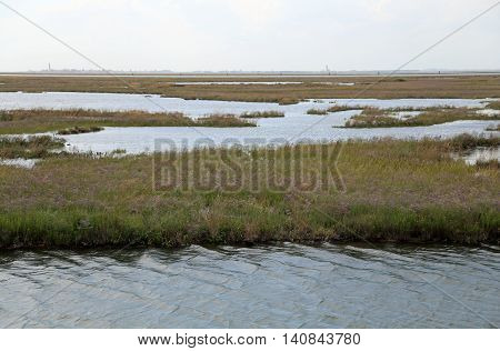 Landscape Lagoon Near Venice In Italy