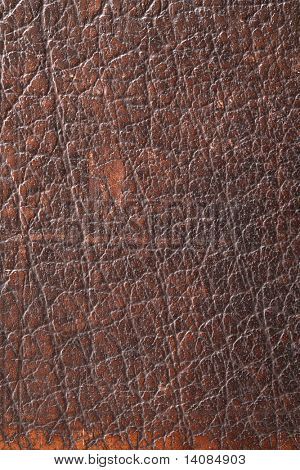 Textura de couro