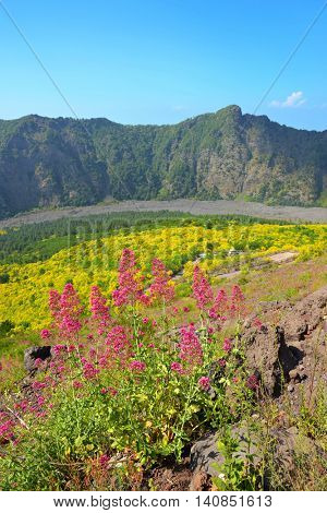 Mount Somma is the remnant of a large volcano, out of which the peak cone of Mount Vesuvius has grown. Province of Naples, in the Campania region, Italy.