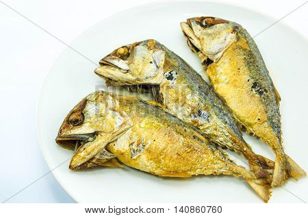 delicious mackerel fried on white plate .