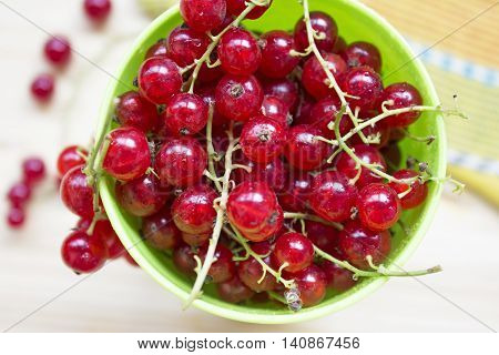 Red currant Berries in a bowl top close up view.