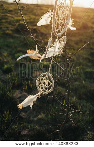 dreamcatcher hanging from a tree in a field at sunset