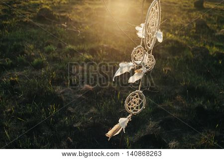 dream catcher hanging from a tree in a field at sunset
