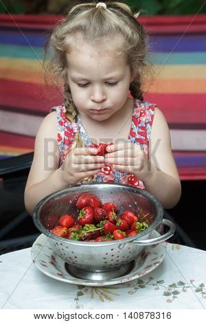 Portrait of little girl is eating ripe red strawberry fruits from colander