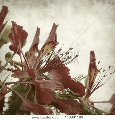 Textured Old Paper Background