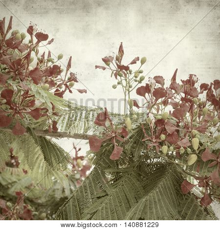 Textured Old Paper Background