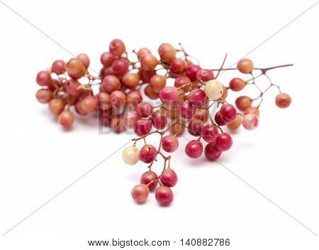 Pink Peppercorn Clusters Isolated On White