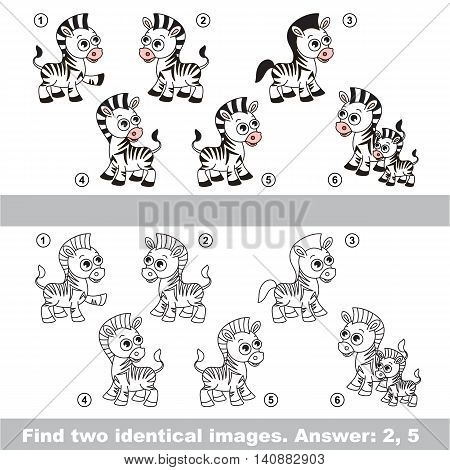 The design difference. Vector visual game for kid education. Simple level of difficulty. Easy educational game. Task and answer. Find two similar Zebras.