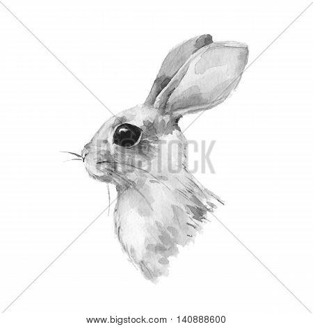 Cute rabbit. Watercolor illustration. Black and white bunny