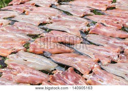 Fish Dried Under The Sun, Striped Snakehead Fish Dried Prepare For Cook In Thailand