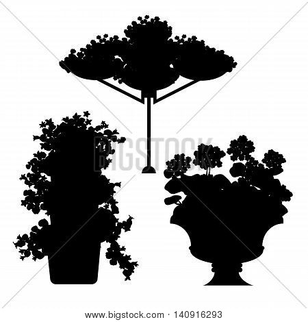Vector set of black silhouette plants, flowers and floral arrangements