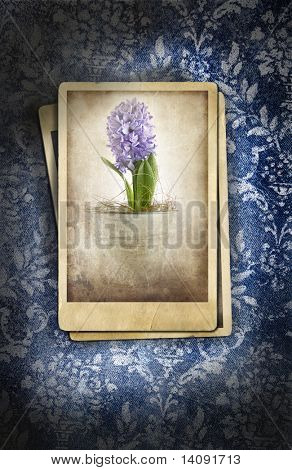 Grungy denim med foto på bleka floral bakgrund