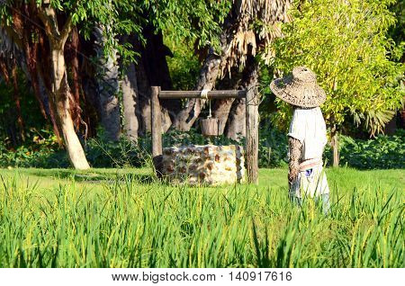 Thai Farmer's Lifestyle with scarecrow in plantation field.