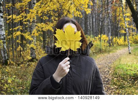 Woman holds huge yellow maple leaf in the hand covering her face by it. Beautiful woman in the autumn park enjoy weather and trees