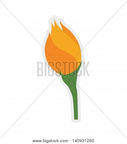 Nature garden decoraton concept represented by flower icon. Isolated and flat illustration
