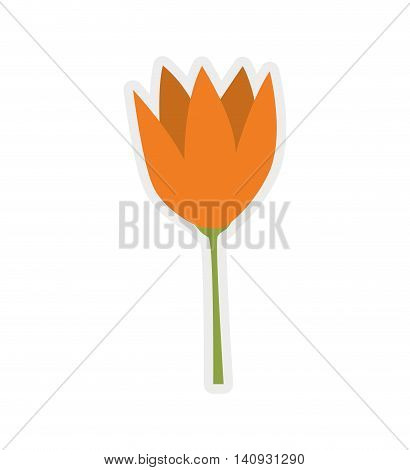 Nature garden decoraton concept represented by flower icon. Isolated and flat illustration