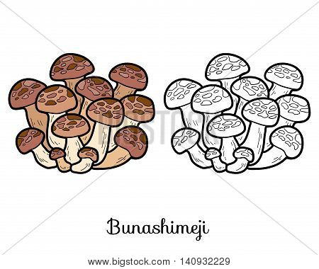 Coloring Book. Japanese Edible Mushrooms, Bunashimeji