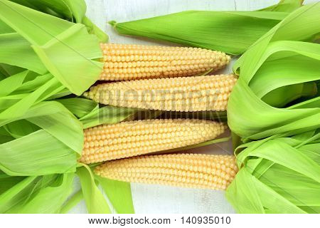 Agriculture.The first harvest. Village. Summer.several cobs of sweet corn with husk and without husk on the light wooden table.