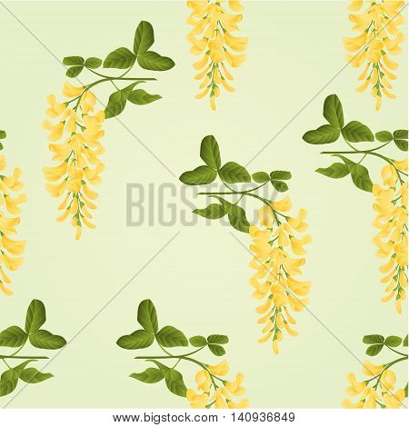 Seamless texture Laburnum branch decorative shrub nature background vector illustration