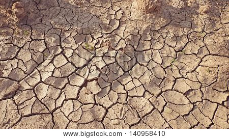Bried earth with cracks on summer sunny day