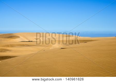 Maspalomas Dunes on the coast of Atlantic ocean on Gran Canaria Canary islands Spain