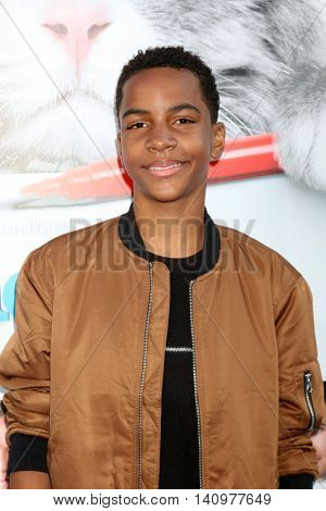 LOS ANGELES - AUG 1:  Terrell Ransom Jr at the 