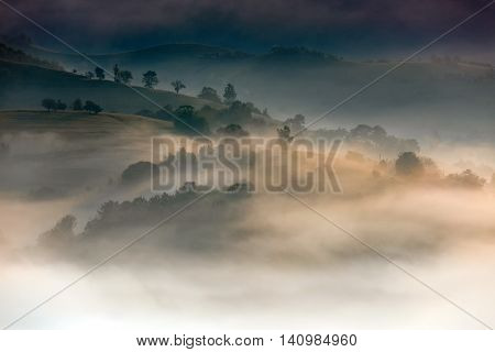 Beautiful Alpine Meadow With Green Grass. Landscape On Wild Transylvania Hills. Holbav. Romania. Low