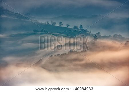 Beautiful Alpine Meadow With Green Grass. Landscape On Wild Transylvania Hills. Holbav. Romania. Low